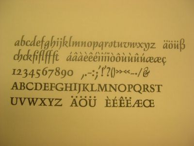 1012_delphin2_1.jpg