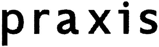 1393_praxis_1.jpg
