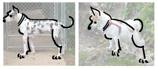 1400_dogs_2.jpg