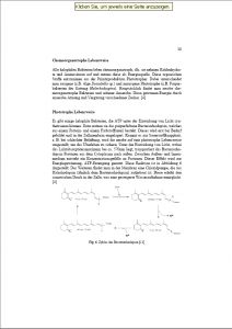 2748_unbenannt_2.jpg