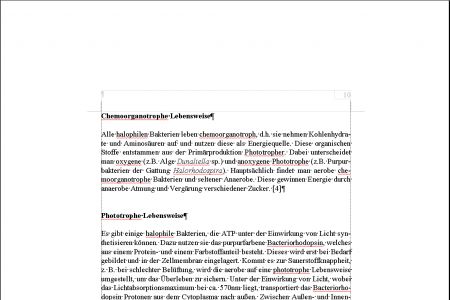 2748_unbenannt_3.jpg