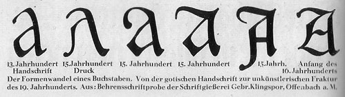 304_a1_1.jpg