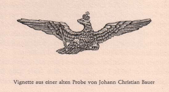 304_vignette_1.jpg