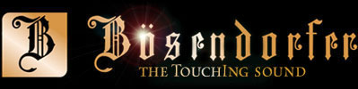 305_logo_1.jpg
