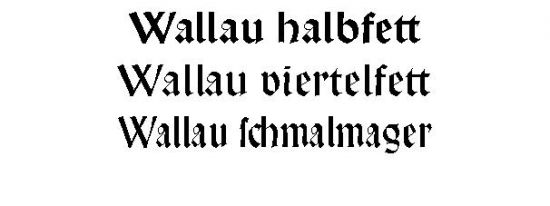 654_schriftbeispiel_1.jpg